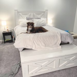 Yulee Wood Bed Frame with Storage | California King or King Size | Rustic Barn Door Style Bed | Solid Wood Platform Bed