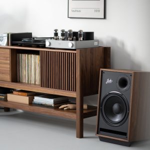 il_1000x1000.4944593282_dkzr-1.jpg JAMM - Record player stand, made of American walnut